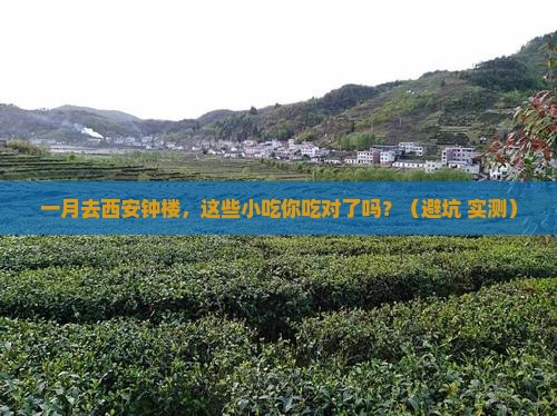 一月到西安钟楼旅游小吃