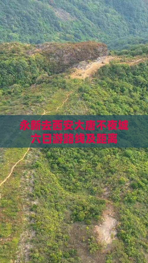 永新去西安大唐不夜城六日游