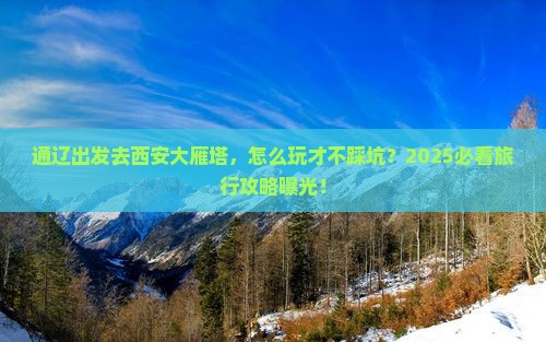 通辽市到西安大雁塔旅行社