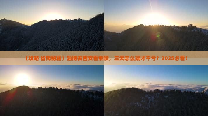 淄博到西安秦始皇帝陵博物院三日游