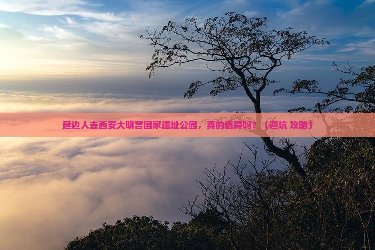 延边去西安大明宫国家遗址公园团体旅游