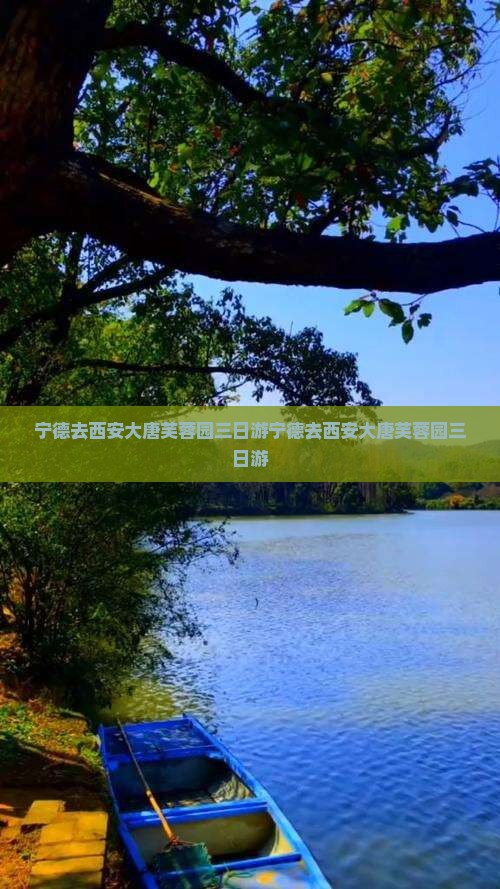 宁德去西安大唐芙蓉园三日游