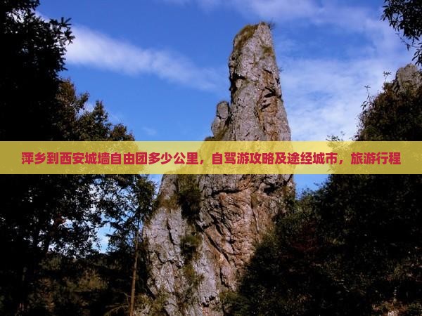 萍乡到西安城墙自由团
