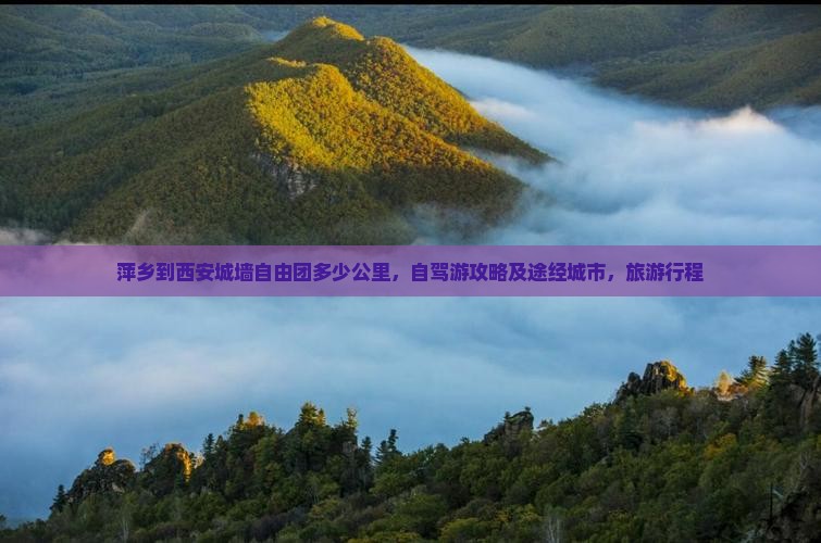 萍乡到西安城墙自由团