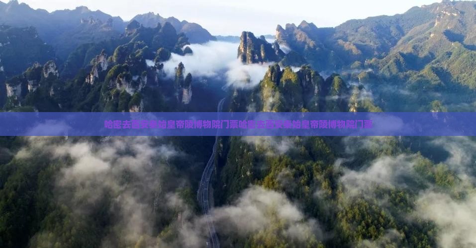 哈密去西安秦始皇帝陵博物院门票