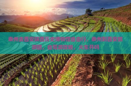 泰州去西安陕西历史博物馆自由行