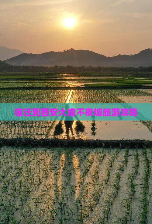 宿迁到西安大唐不夜城攻略