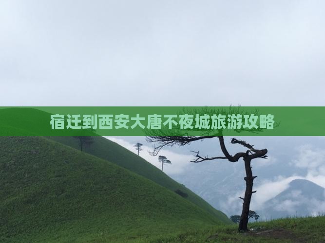 宿迁到西安大唐不夜城攻略
