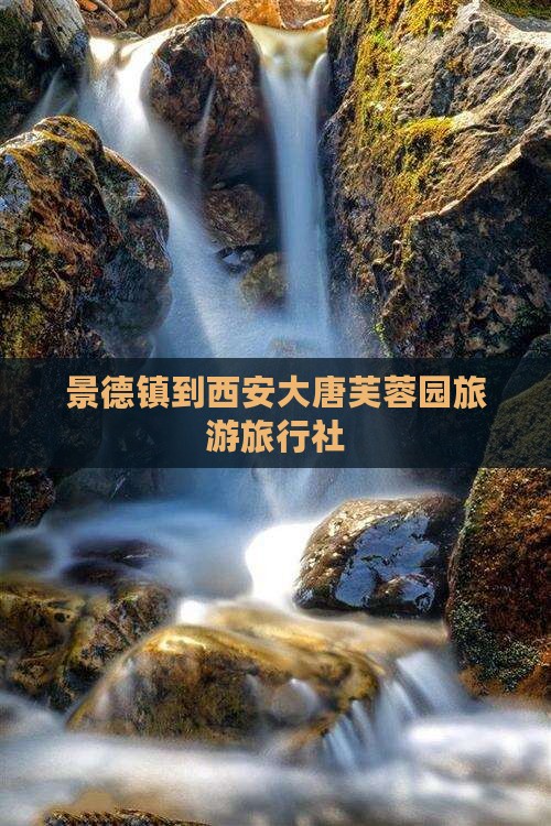 景德镇到西安大唐芙蓉园旅行社