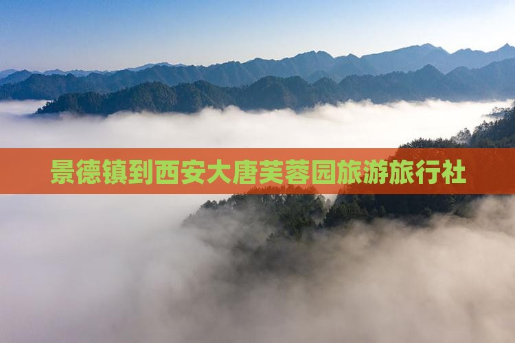 景德镇到西安大唐芙蓉园旅行社