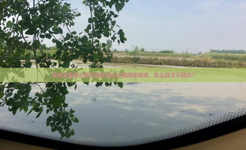 深圳去西安大明宫国家遗址公园团体旅游