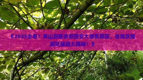 黄山去西安大唐芙蓉园旅游