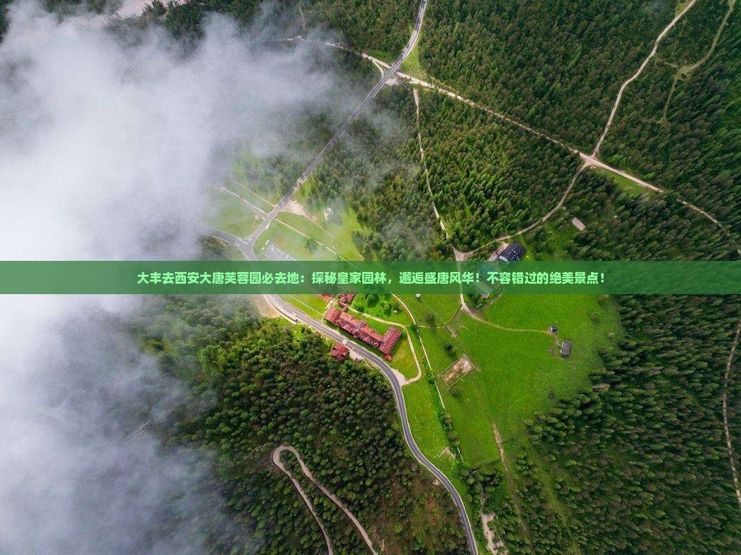大丰去西安大唐芙蓉园必去地