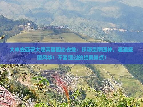 大丰去西安大唐芙蓉园必去地