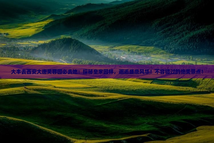 大丰去西安大唐芙蓉园必去地