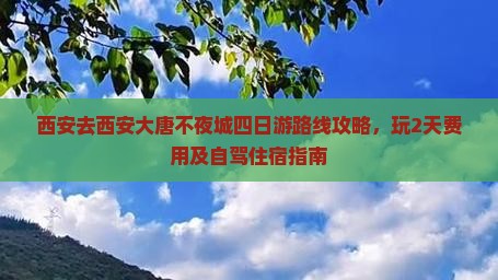 西安去西安大唐不夜城四日游