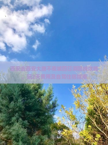 西安去西安大唐不夜城四日游