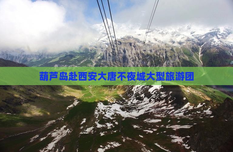 葫芦岛去西安大唐不夜城大型旅游团