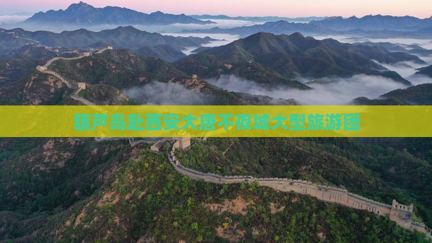 葫芦岛去西安大唐不夜城大型旅游团