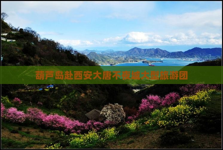 葫芦岛去西安大唐不夜城大型旅游团