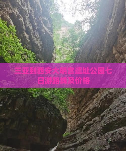三亚到西安大明宫国家遗址公园七日游