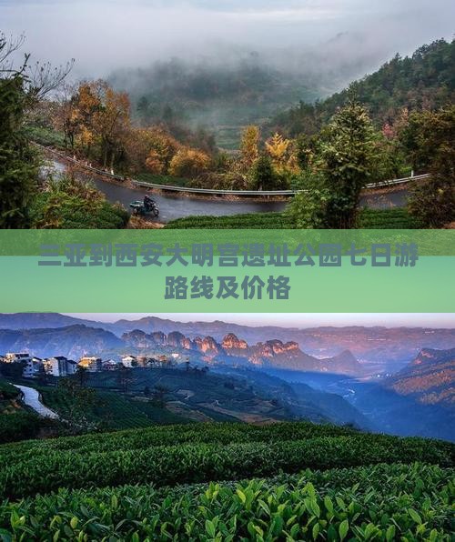 三亚到西安大明宫国家遗址公园七日游