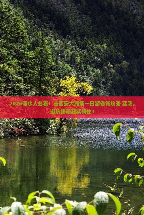 衡水去西安大雁塔一日游