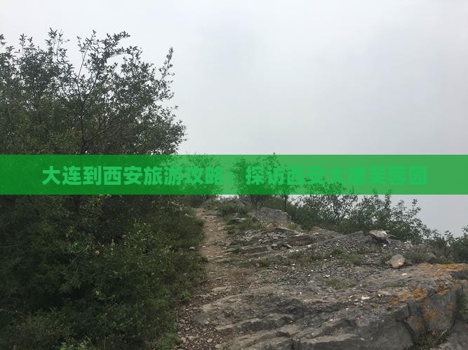 大连到西安大唐芙蓉园旅游