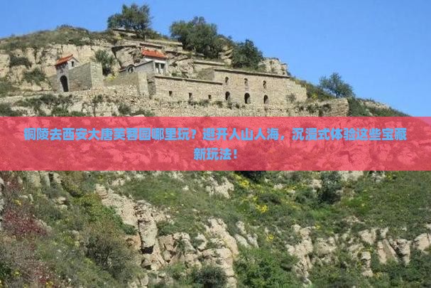 铜陵去西安大唐芙蓉园哪里玩
