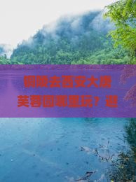 铜陵去西安大唐芙蓉园哪里玩
