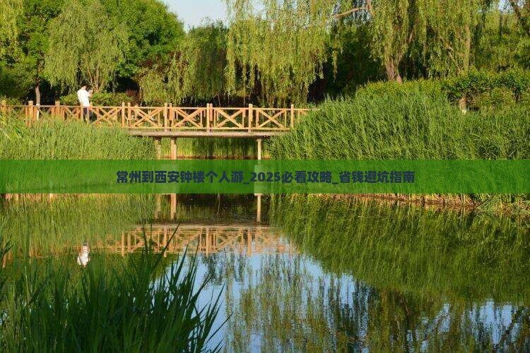 常州到西安钟楼个人游