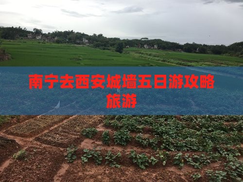 南宁去西安城墙五日游