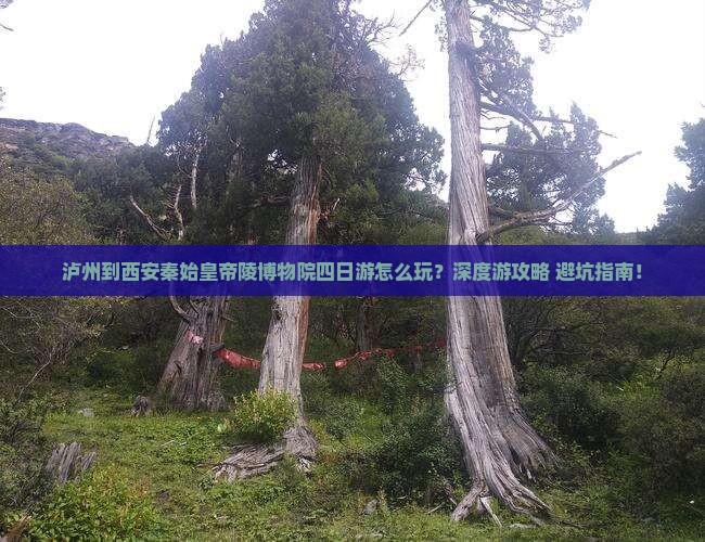 泸州到西安秦始皇帝陵博物院四日游