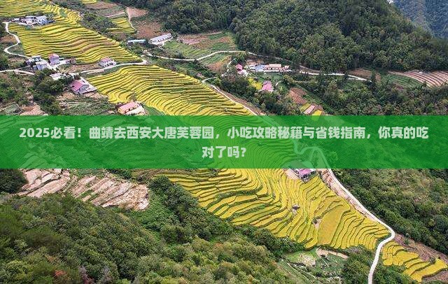 曲靖去西安大唐芙蓉园旅游小吃