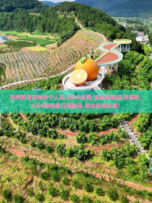 苏州到西安钟楼个人游