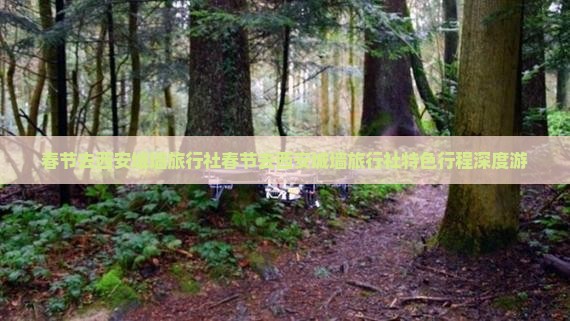春节去西安城墙旅行社