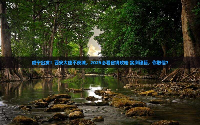 咸宁去西安大唐不夜城大型旅游团