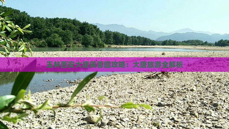 玉林去西安大唐芙蓉园大型旅游团