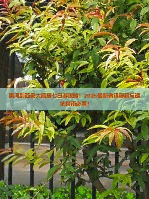 黑河到西安大雁塔七日游