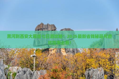 黑河到西安大雁塔七日游