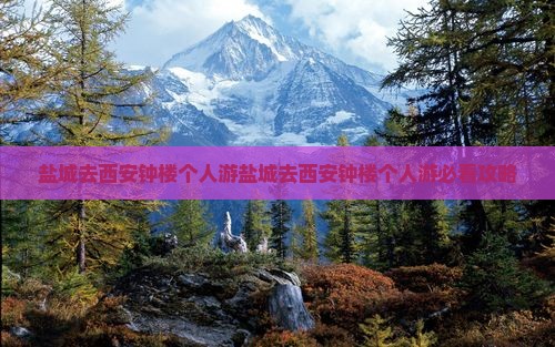 盐城去西安钟楼个人游