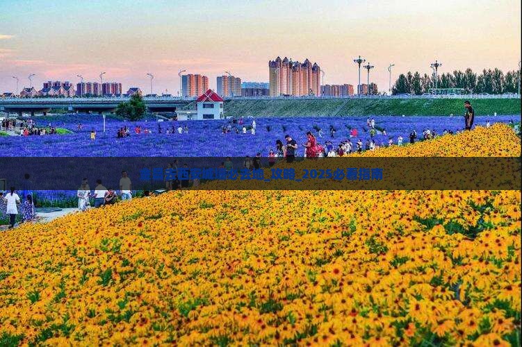 金昌去西安城墙必去地
