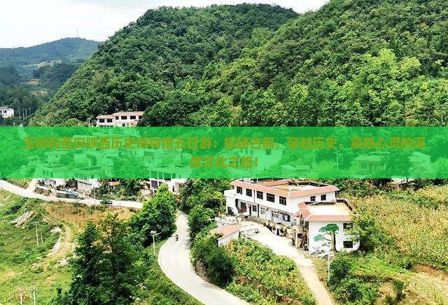 玉树到西安陕西历史博物馆五日游