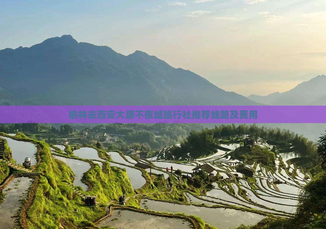榆林去西安大唐不夜城旅行社