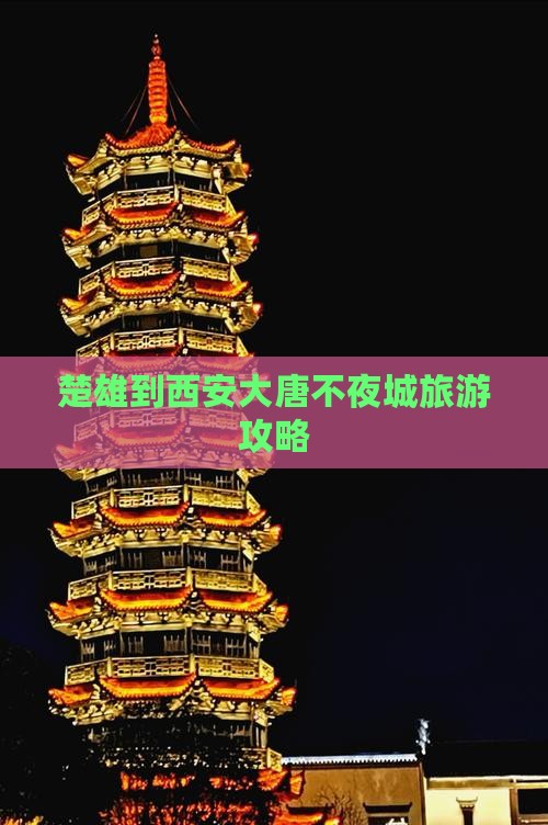 楚雄到西安大唐不夜城自由团