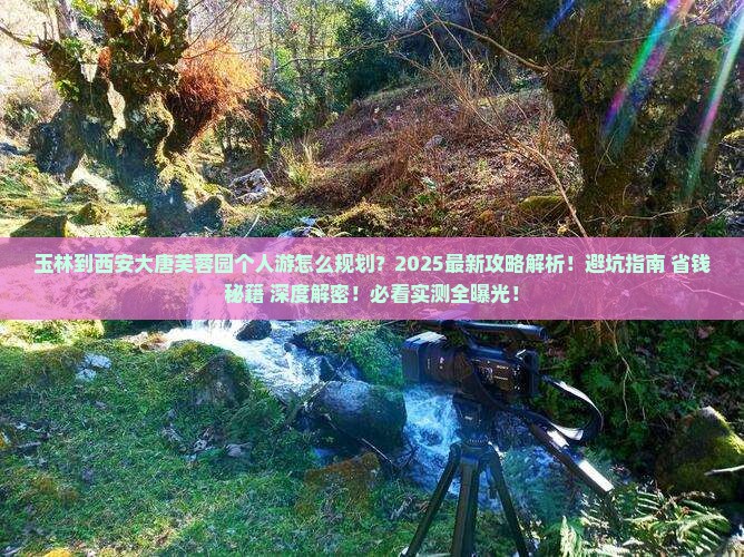 玉林到西安大唐芙蓉园个人游
