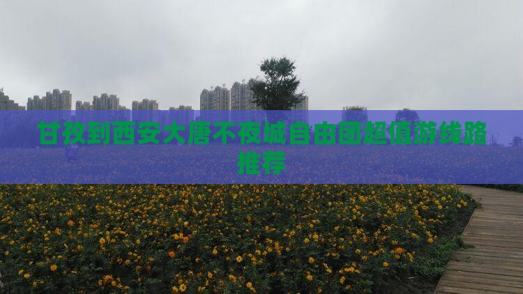 甘孜到西安大唐不夜城自由团