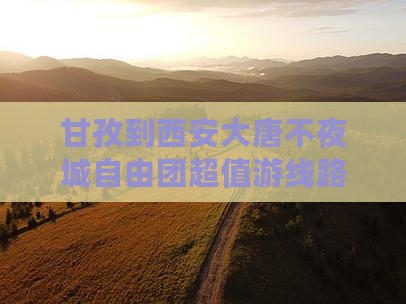 甘孜到西安大唐不夜城自由团