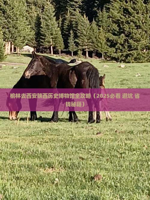 榆林去西安陕西历史博物馆攻略