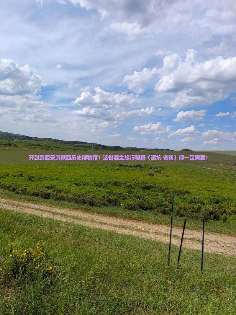 开封到西安陕西历史博物馆大型旅游团